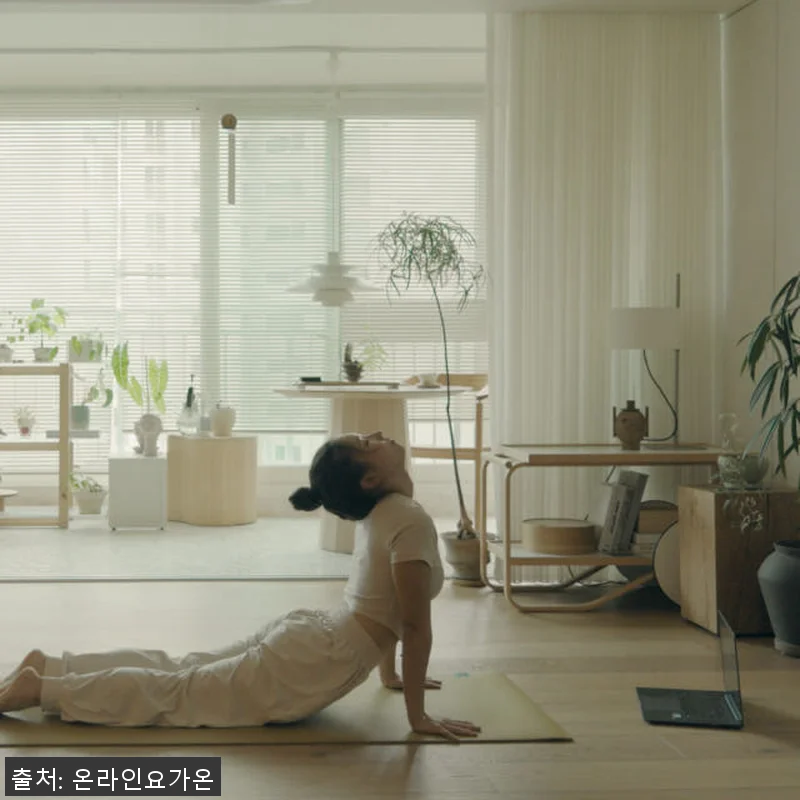 온라인요가온 YOGAON 새벽요가 V 관련 이미지 6
