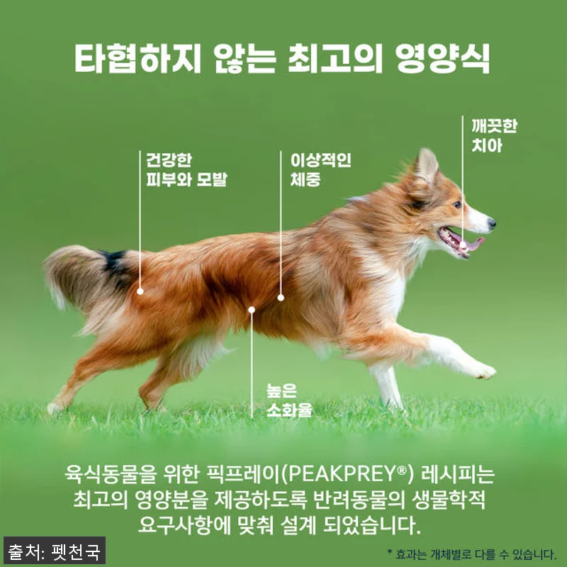 지위픽 오리지널 에어드라이 독 사료 관련 이미지 7