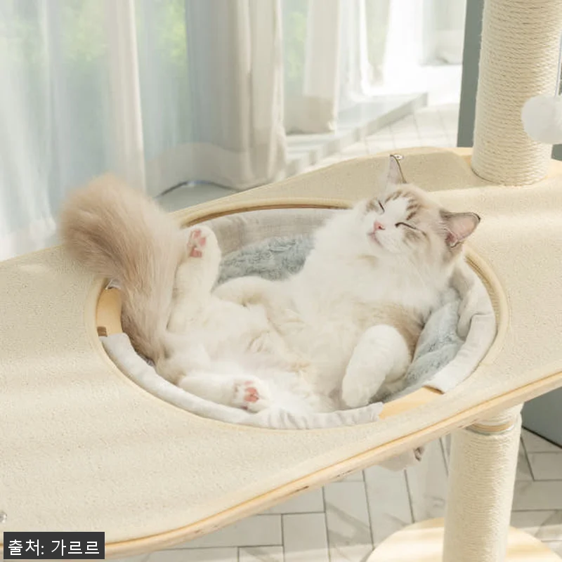 가르르 오로라 캣타워 고양이 캣폴 알 관련 이미지 6