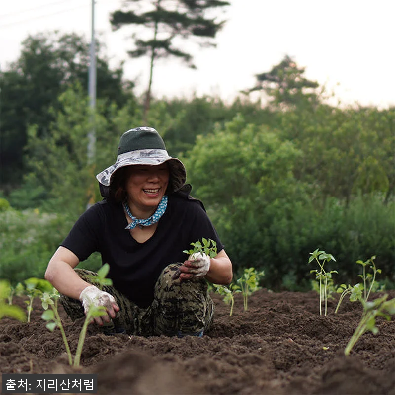 국산 참기름 들기름 저온압착 선물세트 관련 이미지 7
