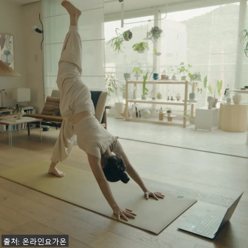 온라인요가온 YOGAON 새벽요가 V 관련 이미지 7