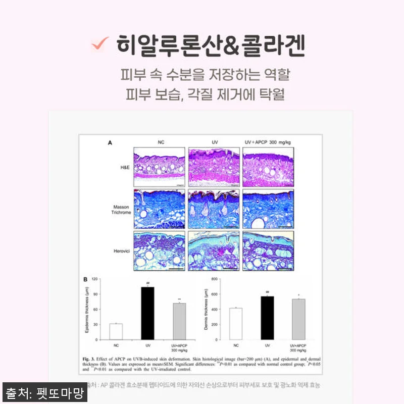 펫또마망 프리미엄 강아지 영양제 사용 관련 이미지 7