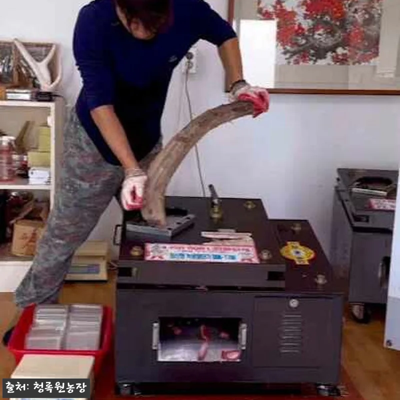 휘록 청록원 사슴농장 녹용즙 60봉 관련 이미지 7