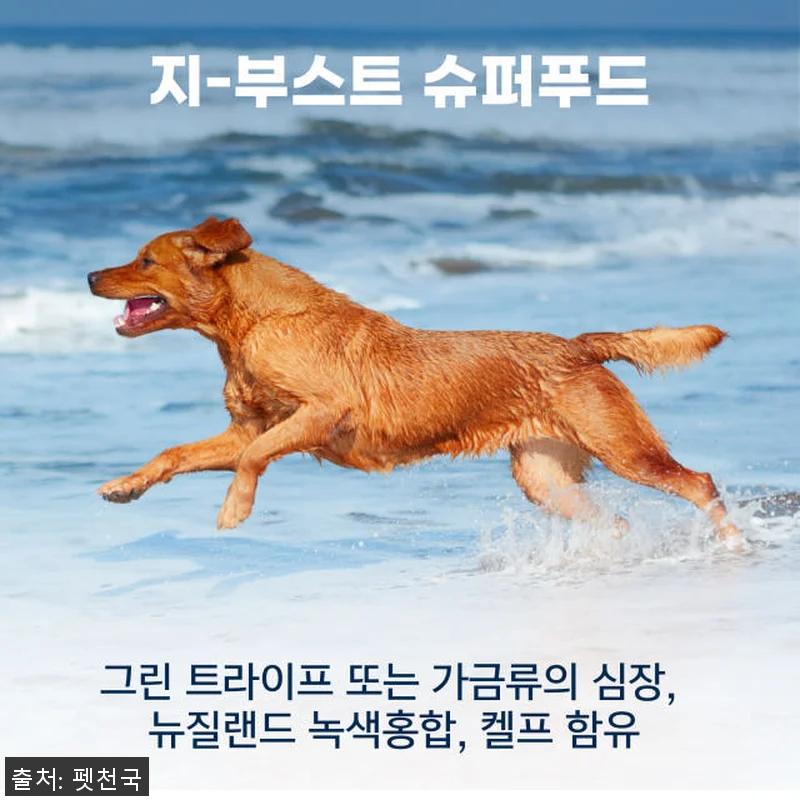 지위픽 오리지널 에어드라이 독 사료 관련 이미지 8