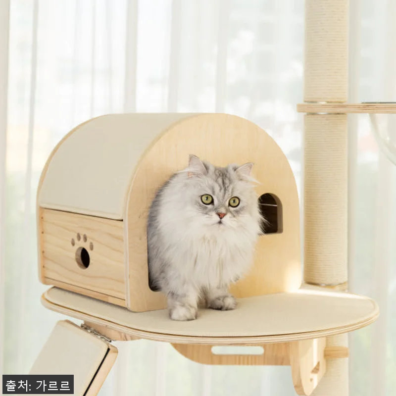 가르르 오로라 캣타워 고양이 캣폴 알 관련 이미지 7