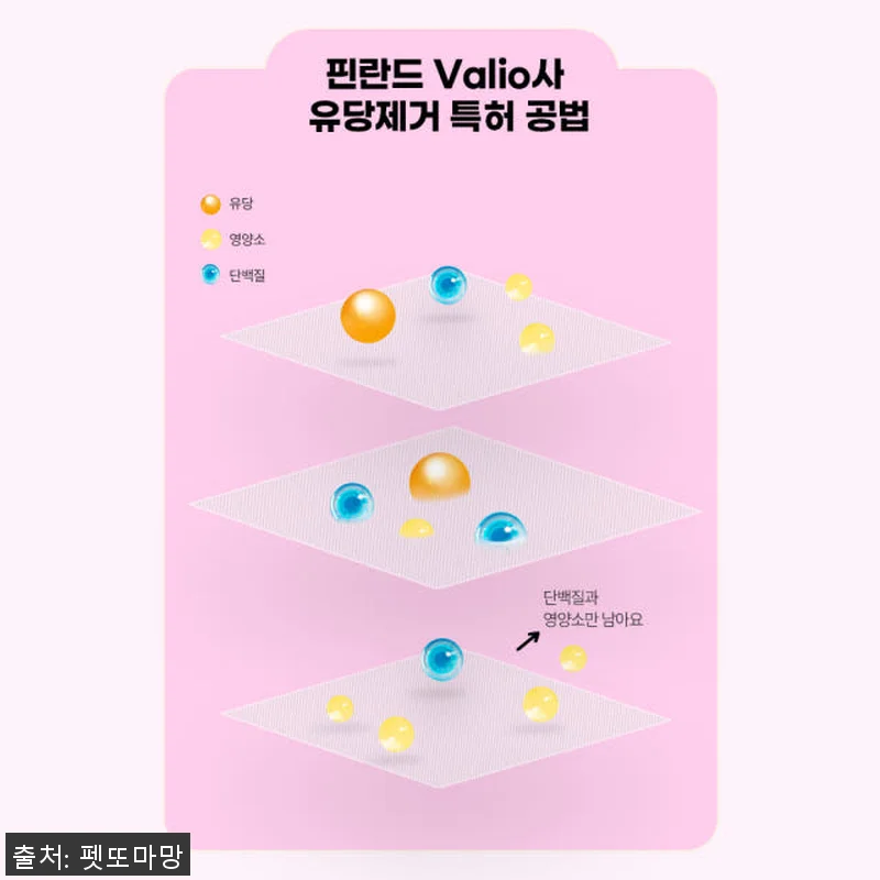 펫또마망 프리미엄 강아지 영양제 사용 관련 이미지 8