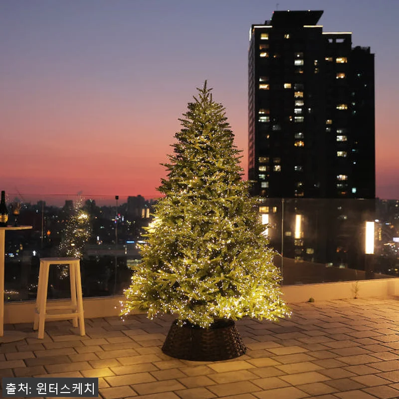 윈터스케치 크리스마스 트리 무장식 전 관련 이미지 9