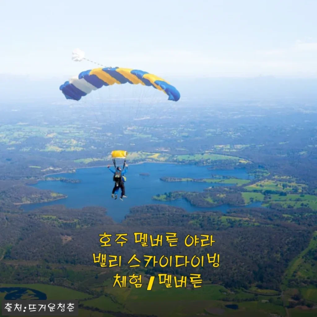 호주 멜버른 야라 밸리 스카이다이빙 체험 후기 – 짜릿한 도전과 멋진 풍경의 만남