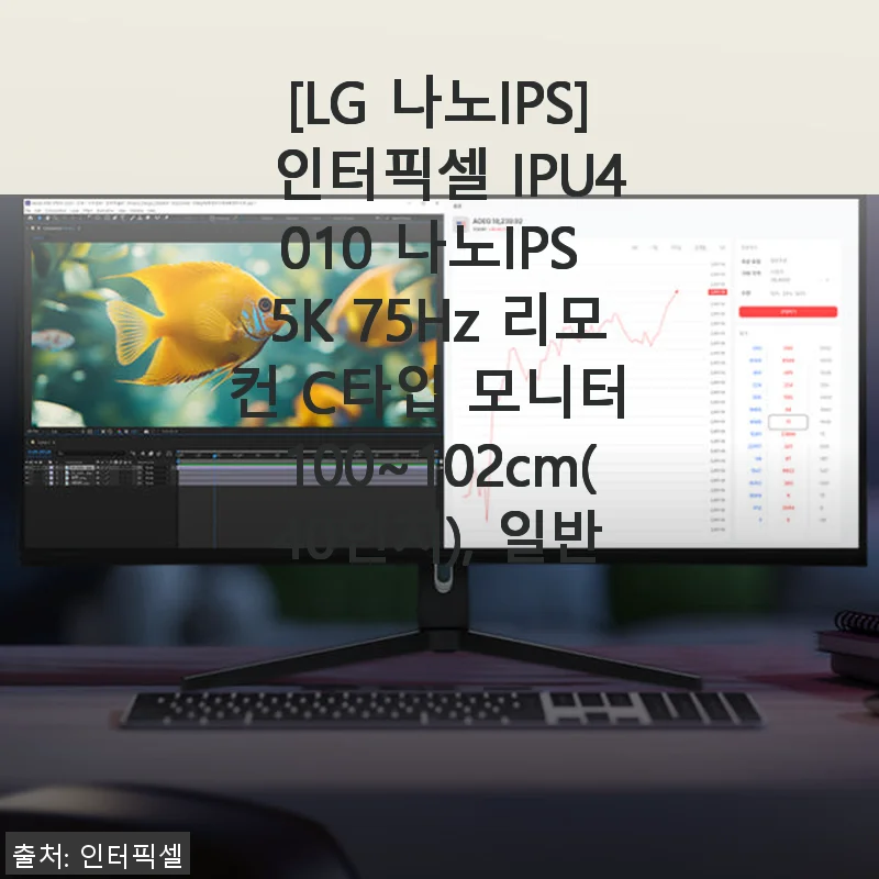 LG 나노IPS 인터픽셀 IPU4010 5K 40인치 모니터 사용후기