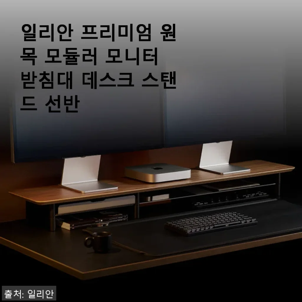 일리안 프리미엄 원목 모듈러 모니터 받침대 사용후기