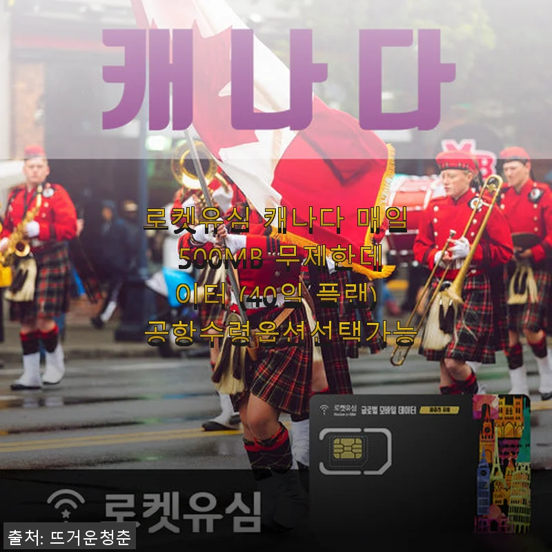 로켓유심 캐나다 매일 500MB 무제한데이터 40일 플랜 사용후기