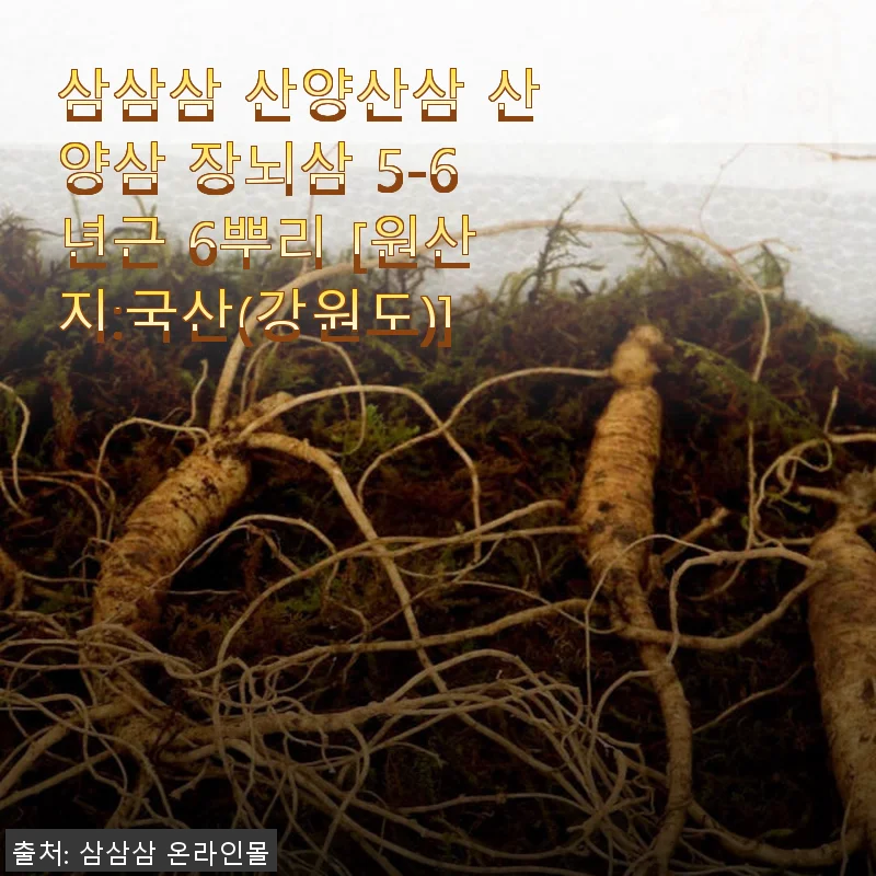 삼삼삼 산양산삼 5-6년근 6뿌리 사용후기 - 건강과 정성의 선물