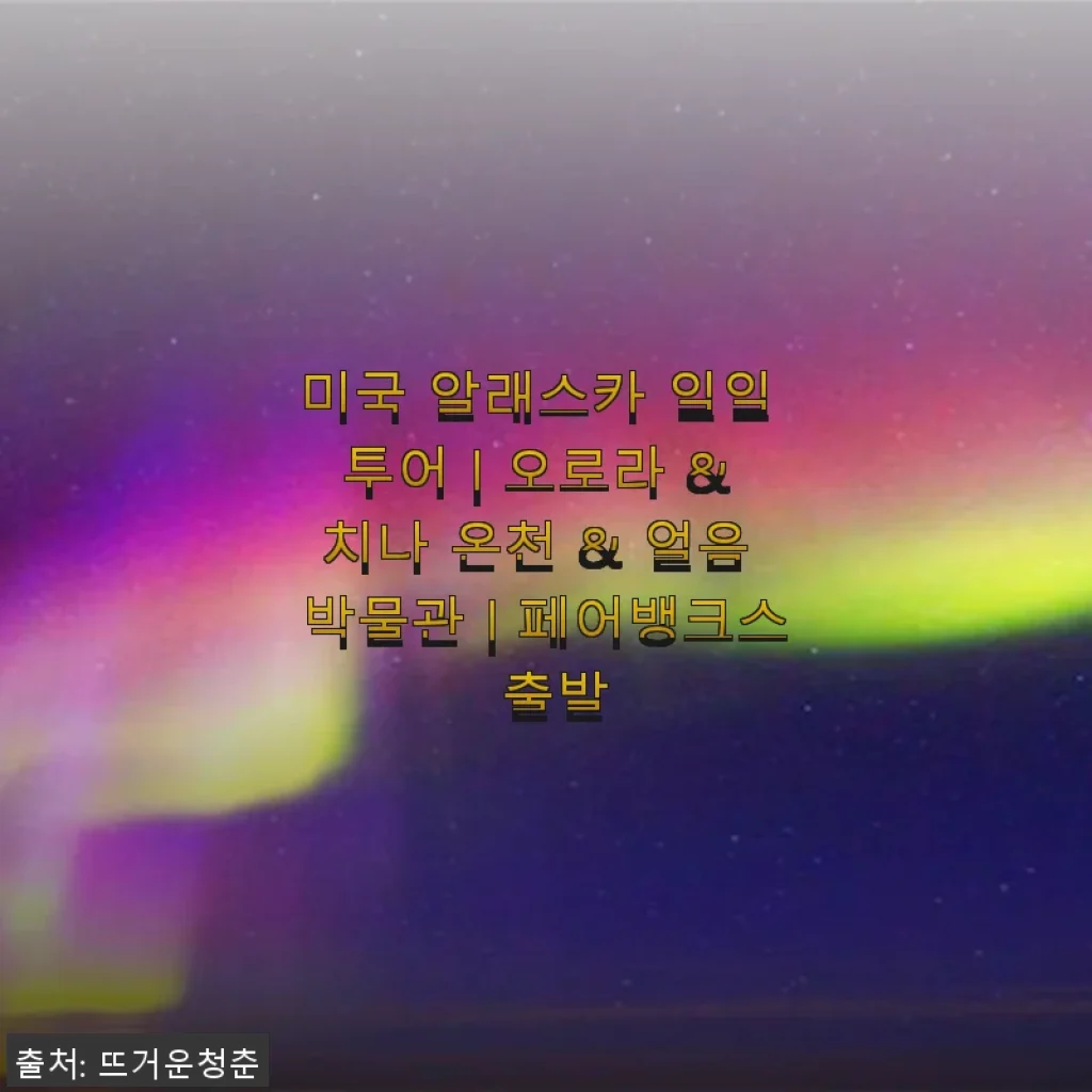 미국 알래스카 일일 투어 후기: 오로라와 치나 온천, 얼음 박물관까지 모두 경험한 생생한 이야기
