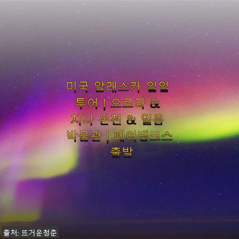 미국 알래스카 일일 투어 후기: 오로라와 치나 온천, 얼음 박물관까지 모두 경험한 생생한 이야기