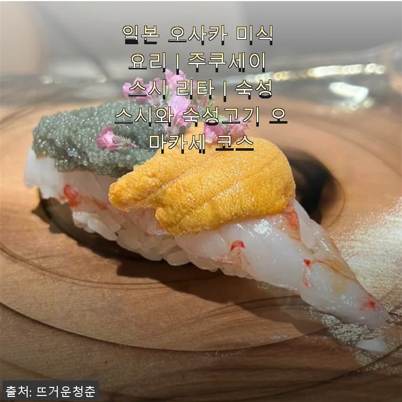 일본 오사카 미식 요리 주쿠세이 스시 리타 숙성스시와 숙성고기 오마카세 코스 사용 후기