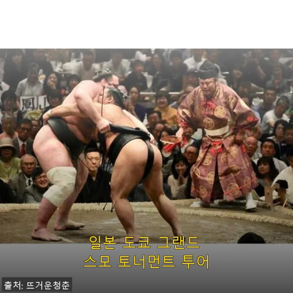 일본 도쿄 그랜드 스모 토너먼트 투어 직접 체험 후기