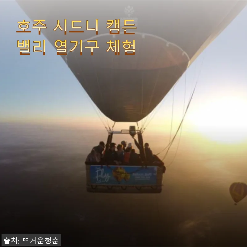 호주 시드니 캠든 밸리 열기구 체험 사용후기 및 추천