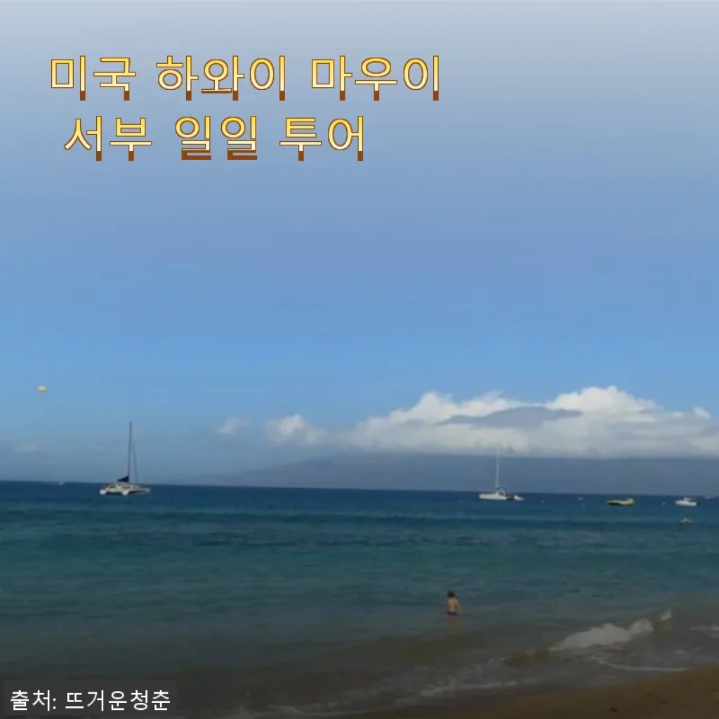 미국 하와이 마우이 서부 일일 투어, 직접 경험한 생생한 후기