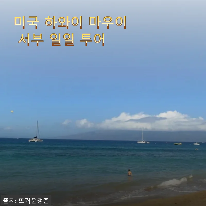 미국 하와이 마우이 서부 일일 투어, 직접 경험한 생생한 후기