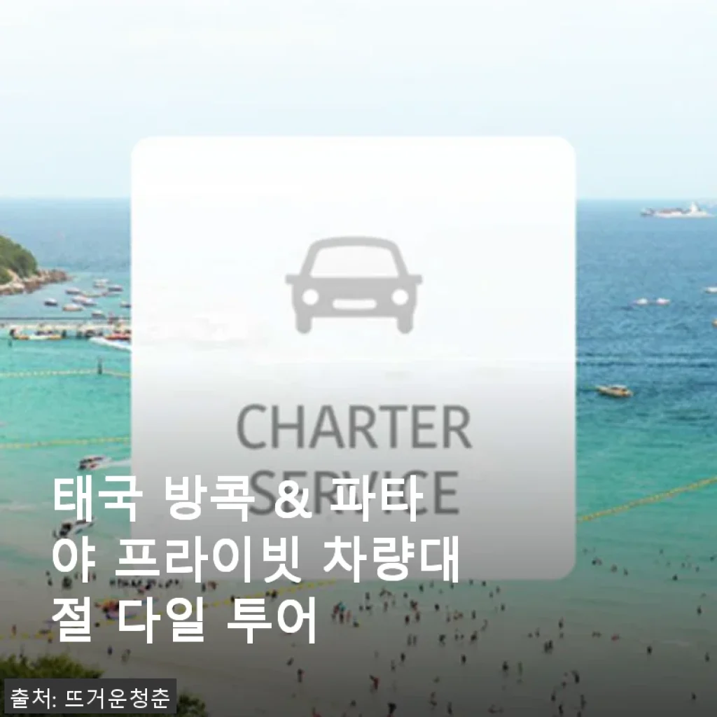태국 방콕 & 파타야 프라이빗 차량대절 다일 투어 사용후기