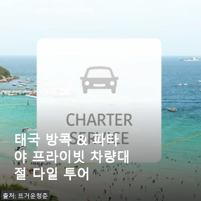 태국 방콕 & 파타야 프라이빗 차량대절 다일 투어 사용후기
