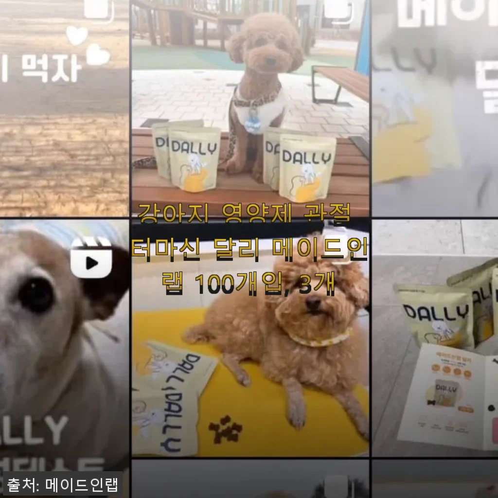 강아지 관절 건강에 도움 되는 터마신 달리 메이드인랩 100개입, 3개 세트 사용후기