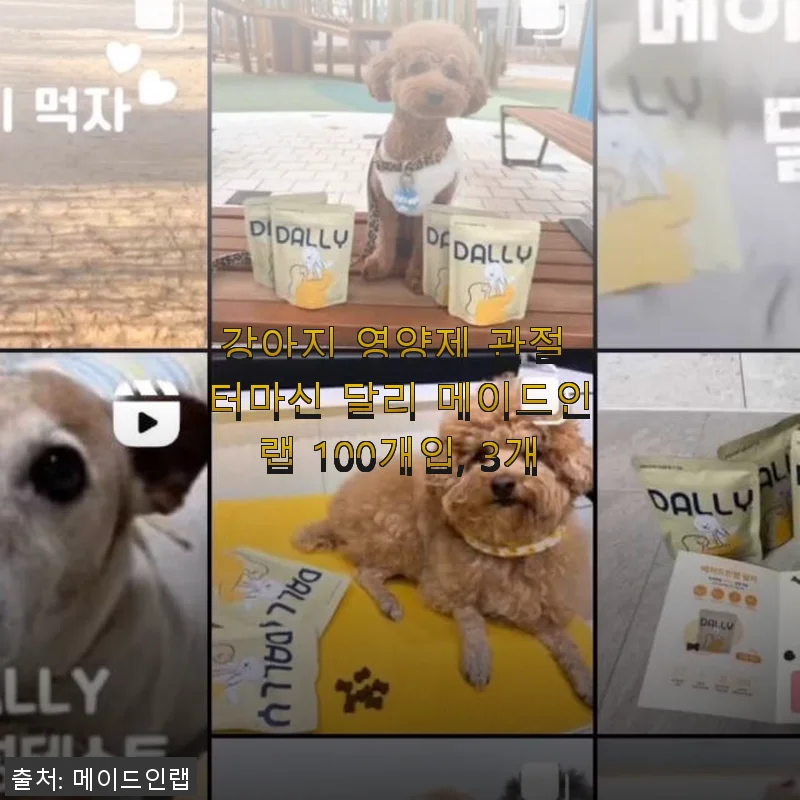 강아지 관절 건강에 도움 되는 터마신 달리 메이드인랩 100개입, 3개 세트 사용후기