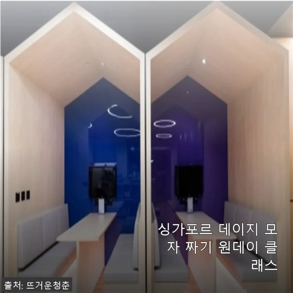 싱가포르 데이지 모자 짜기 원데이 클래스 사용후기
