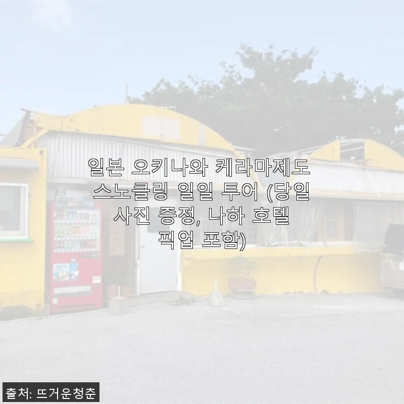 오키나와 케라마제도 스노클링 일일 투어, 직접 체험한 생생한 후기