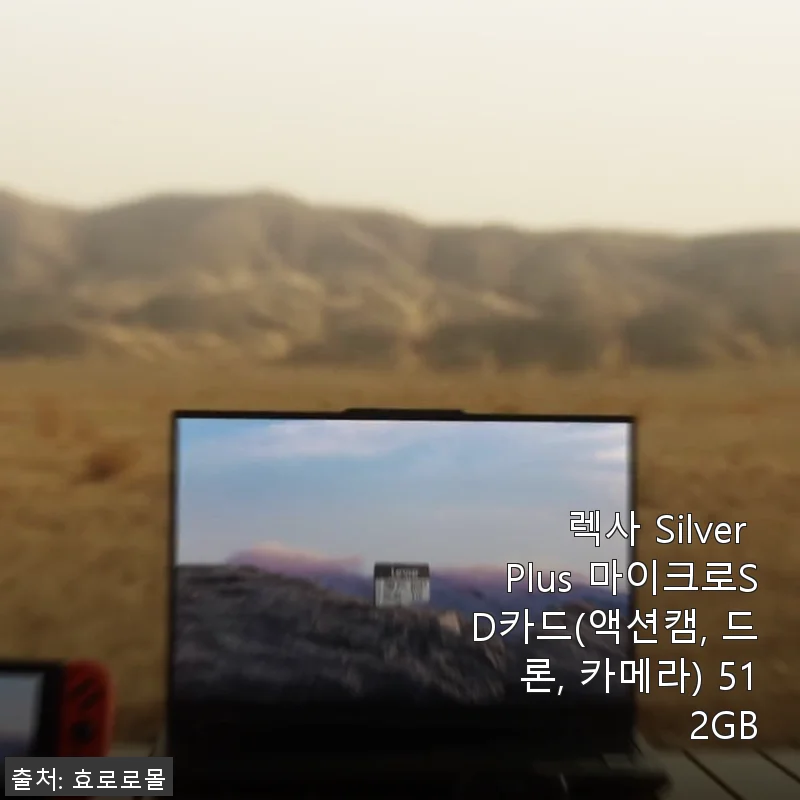 렉사 Silver Plus 마이크로SD카드 512GB 사용후기: 대용량과 안정성 모두 만족