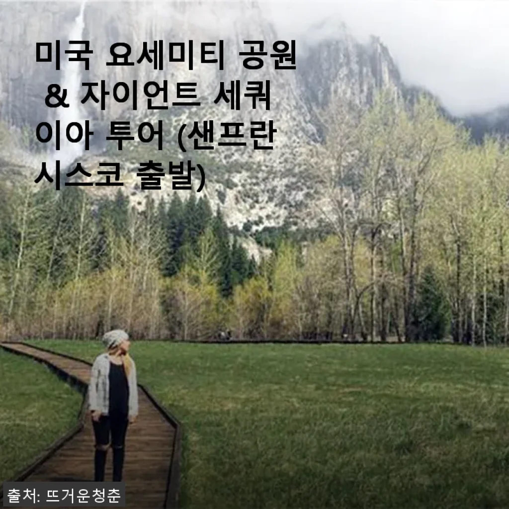 미국 요세미티 공원 & 자이언트 세쿼이아 투어 후기와 제품 소개