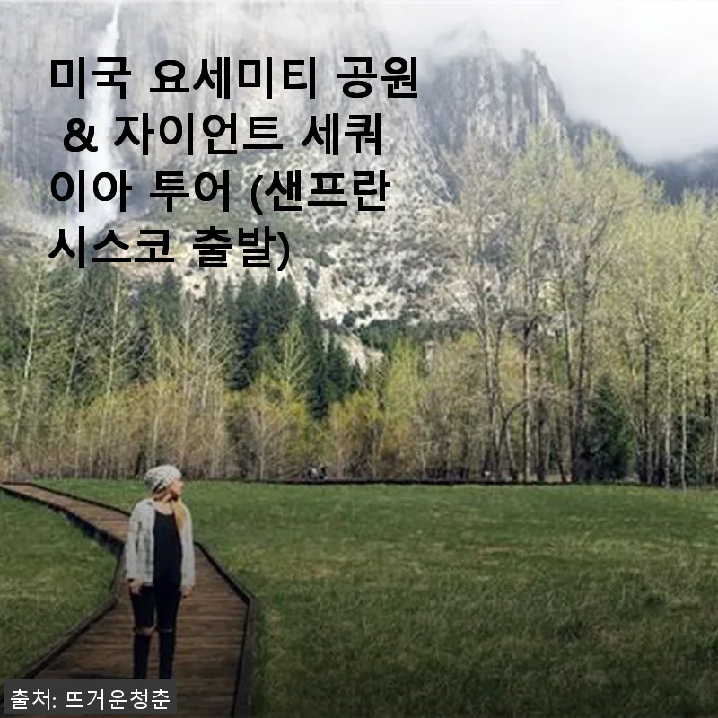 미국 요세미티 공원 & 자이언트 세쿼이아 투어 후기와 제품 소개