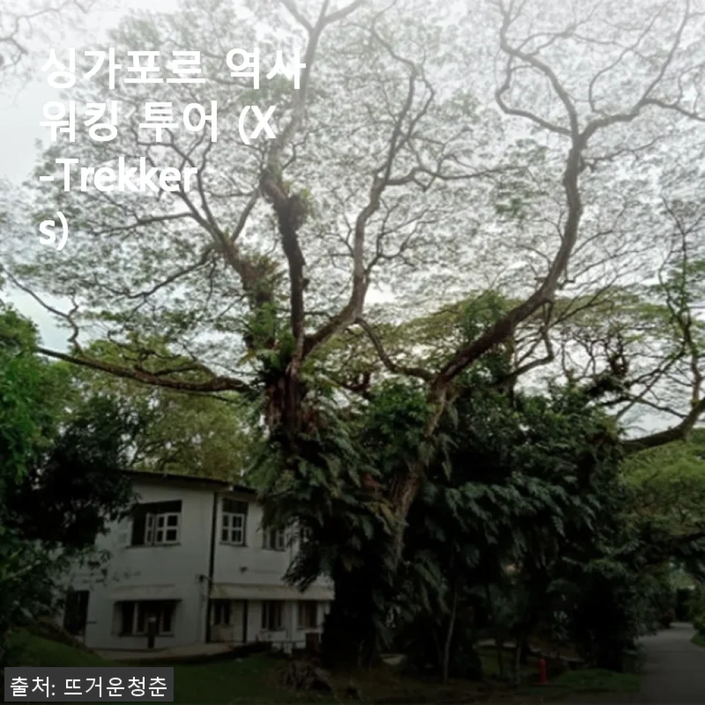 싱가포르 역사 워킹 투어 (X-Trekkers) 사용후기: 직접 경험한 생생한 역사 탐방