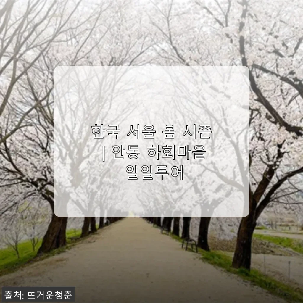 한국 서울 봄 시즌 | 안동 하회마을 일일투어 사용후기