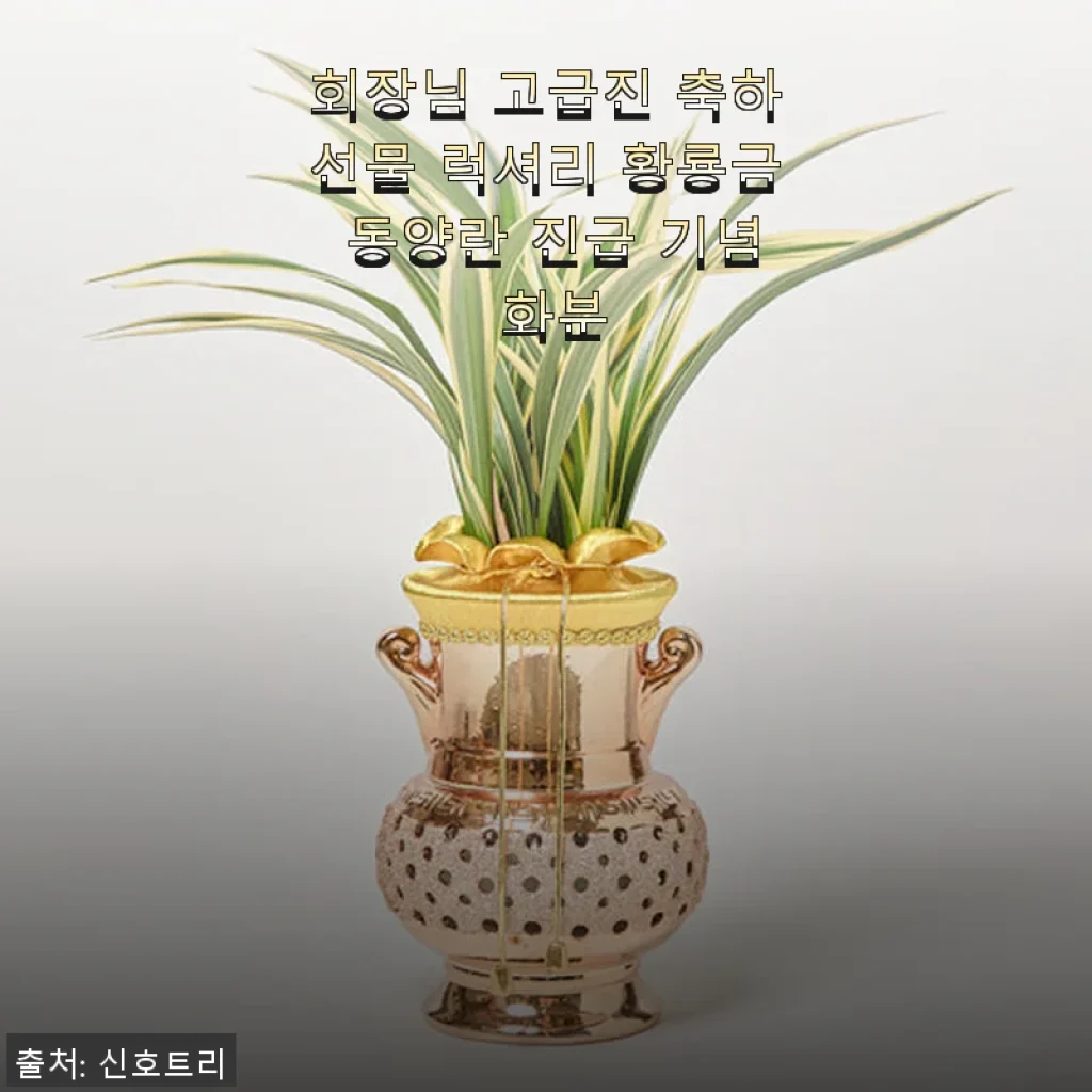회장님 고급진 축하선물 럭셔리 황룡금 동양란 진급 기념 화분 사용후기
