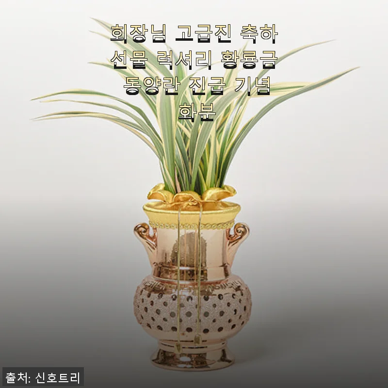 회장님 고급진 축하선물 럭셔리 황룡금 동양란 진급 기념 화분 사용후기