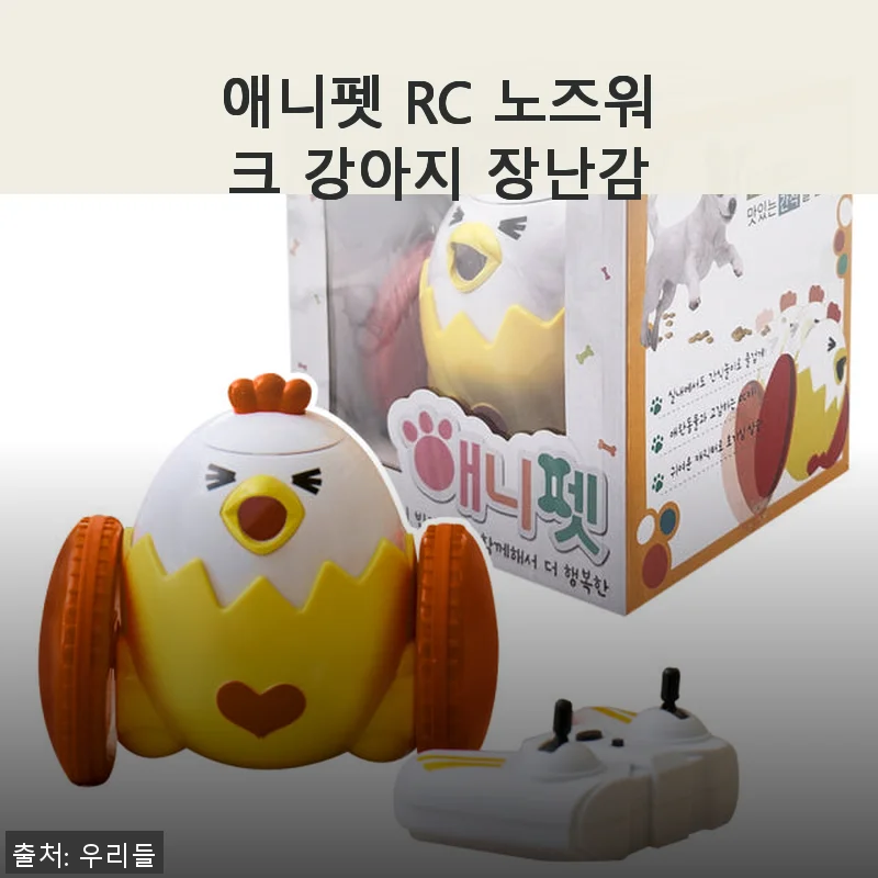 애니펫 RC 노즈워크 강아지 장난감 사용후기