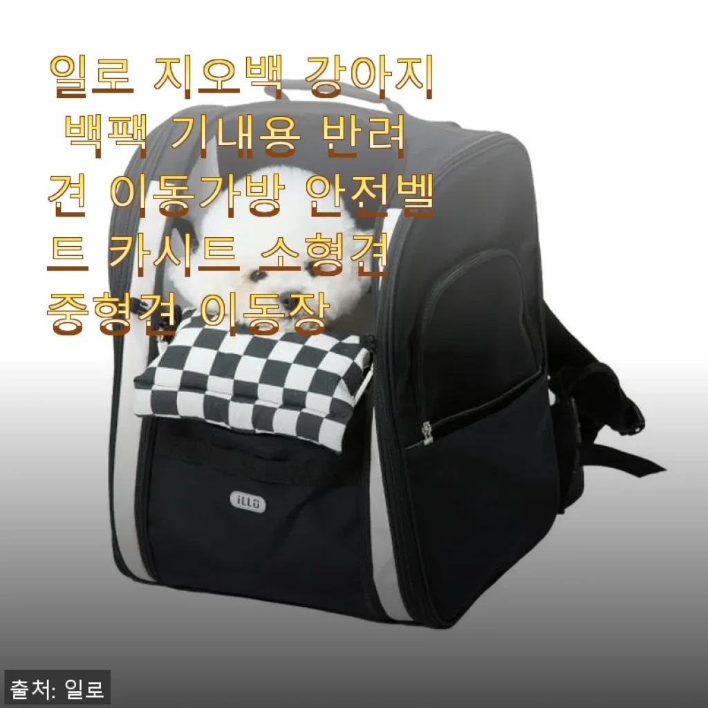 일로 지오백 강아지 백팩 사용후기: 튼튼함과 편안함을 동시에 경험하다