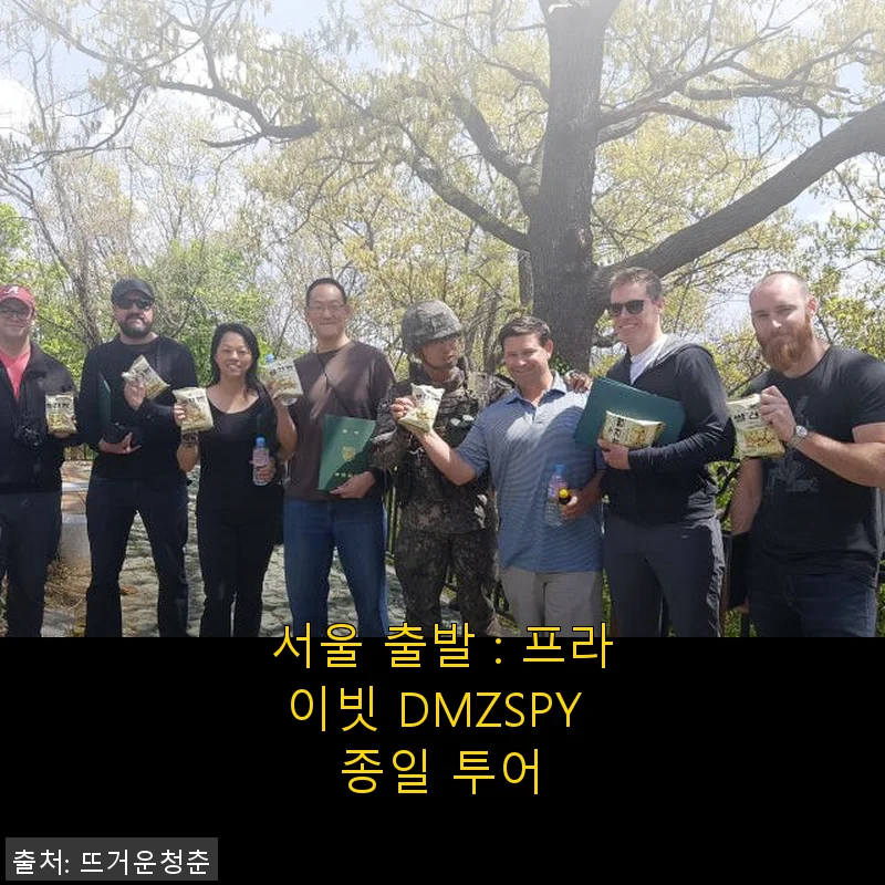 서울 출발 프라이빗 DMZSPY 종일 투어 사용후기
