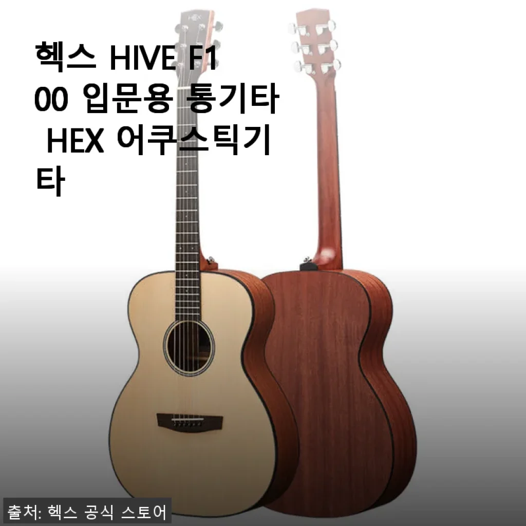 헥스 HIVE F100 입문용 통기타 사용후기, 가성비 좋은 선택이었어요