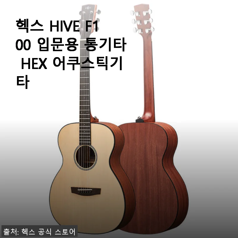 헥스 HIVE F100 입문용 통기타 사용후기, 가성비 좋은 선택이었어요