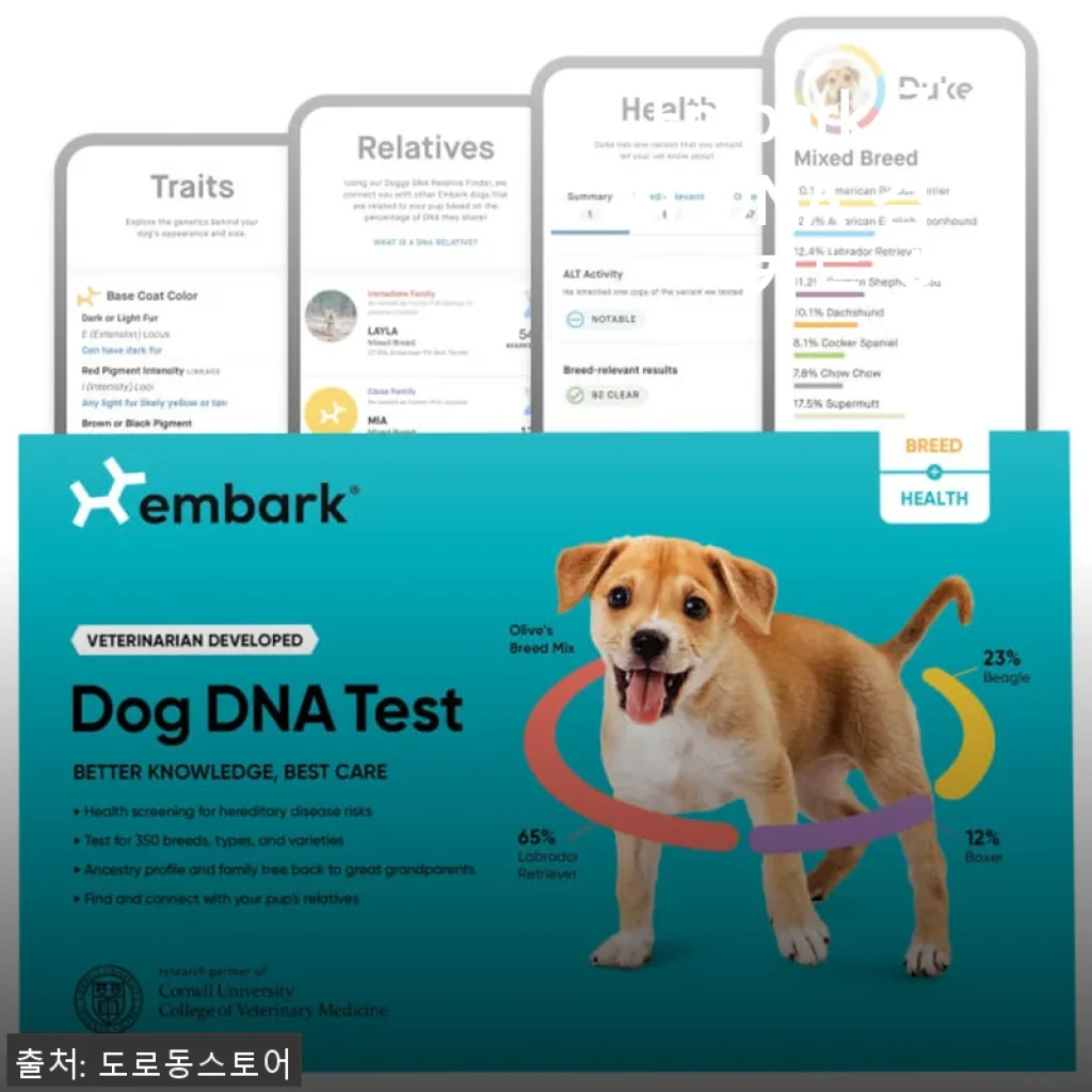 Embark 강아지 DNA 검사 키트 혈통 사용후기: 우리 강아지의 숨겨진 이야기