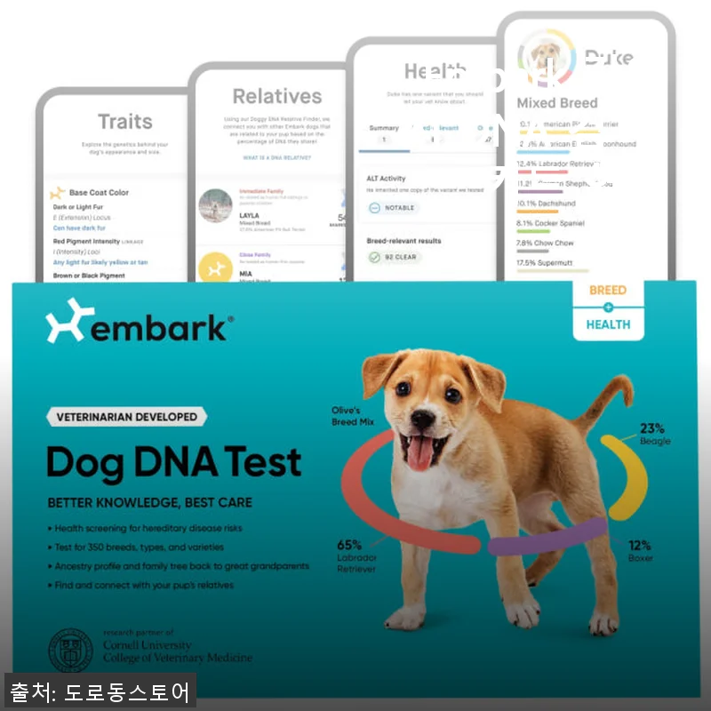 Embark 강아지 DNA 검사 키트 혈통 사용후기: 우리 강아지의 숨겨진 이야기