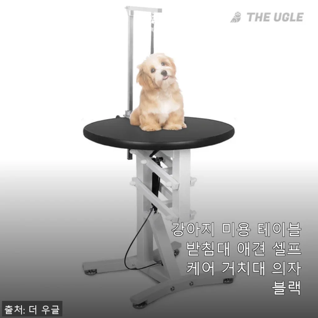 강아지 미용 테이블 받침대 애견 셀프 케어 거치대 블랙 사용 후기