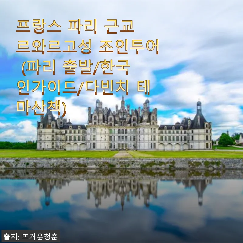 프랑스 파리 근교 르와르고성 조인투어 사용후기 및 체험기