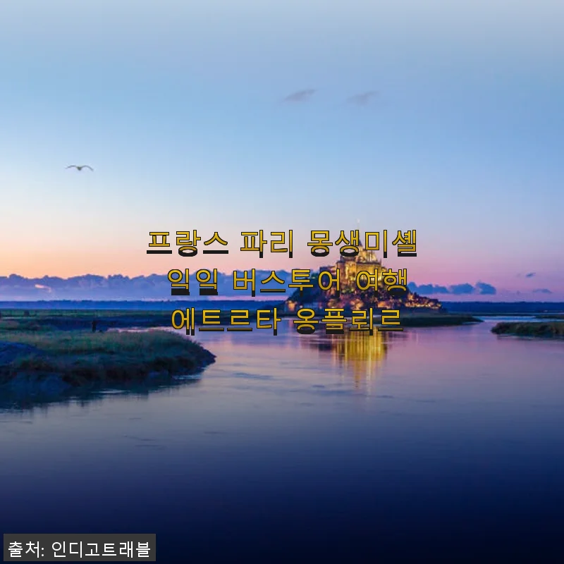 프랑스 파리 몽생미셸 일일 버스투어 여행 에트르타 옹플뢰르 후기
