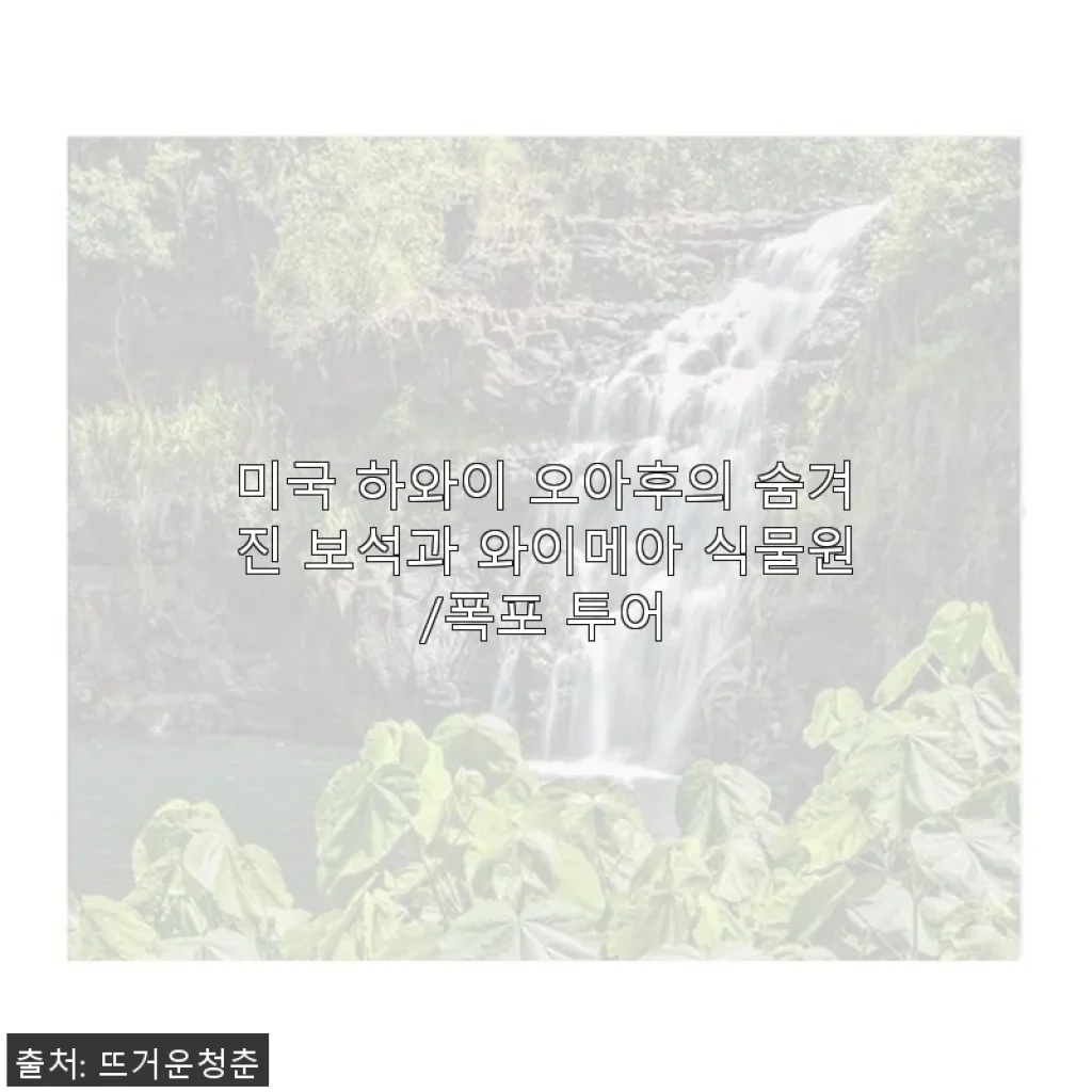 미국 하와이 오아후의 숨겨진 보석과 와이메아 식물원/폭포 투어 사용후기