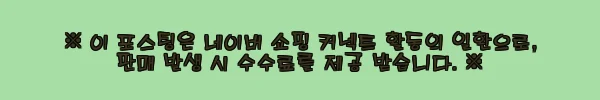 대만 신베이시 스딩 천도호 & 핑시 차량 대절 일일투어 사용후기 8 이해관계문구