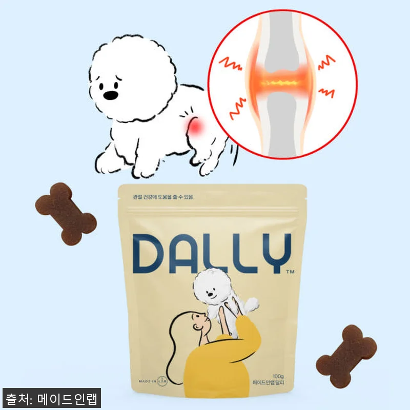 강아지 눈영양제와 관절영양제 세트 사 관련 이미지 1
