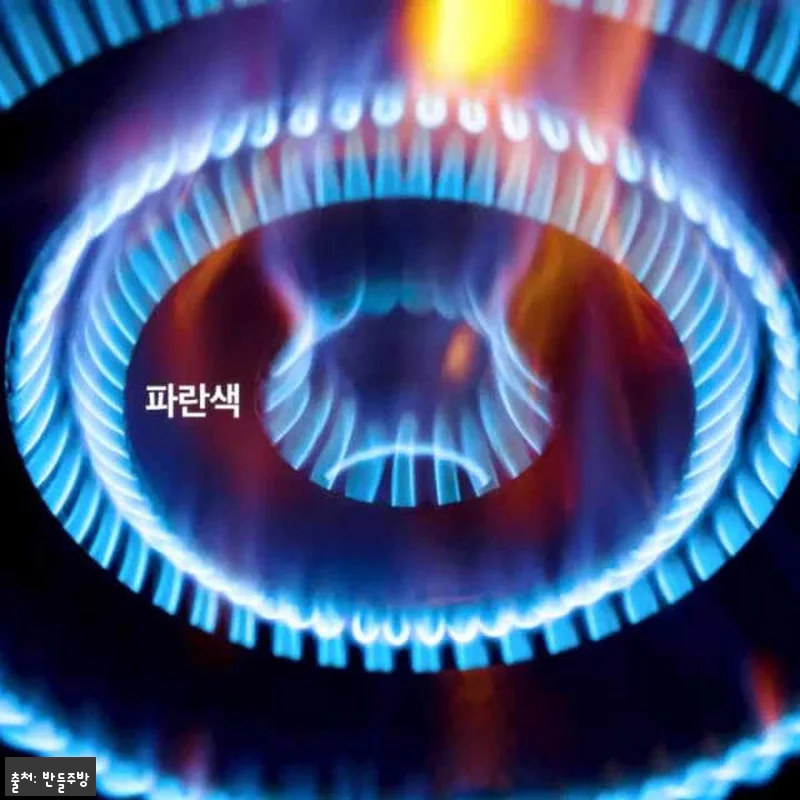 업소용 숯불구이기 900 바베큐 초벌 관련 이미지 1